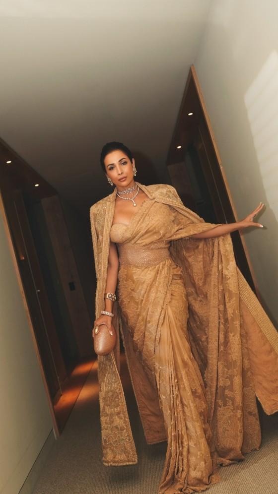 Malaika Arora Serves Saree Perfection