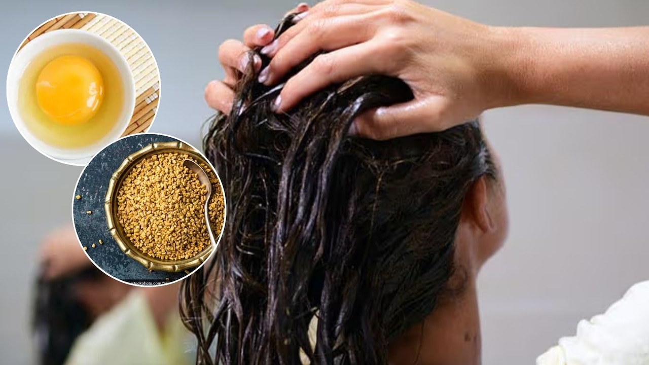 मेथी दाना या अंडा? जानिए कौन सा DIY हेयर मास्क बनाता है बालों को चमकदार