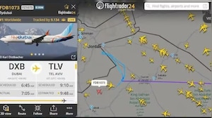 'Fight Between Pilots': What Happened Inside Diverted Dubai-Tel Aviv Flight