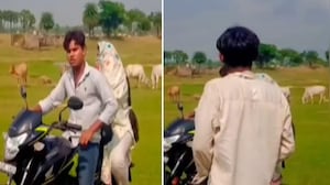 Bihar Couple Allegedly Harassed, Physically Abused By Youth In Gaya