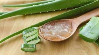 Aloe Vera Gel: बाजार से खरीदने की जरूरत नहीं, अब घर पर ऐसे बनाएं ताजा एलोवेरा जेल, जानिए तरीका