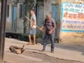 भिंड में बेजुबान पर हैवानियत: लाठियों से पीट-पीटकर कुत्ते की हत्&zwj;या, पत्थर से बांधा&nbsp;