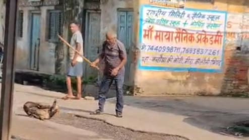 भिंड में बेजुबान पर हैवानियत: लाठियों से पीट-पीटकर कुत्ते की हत्&zwj;या, पत्थर से बांधा&nbsp;