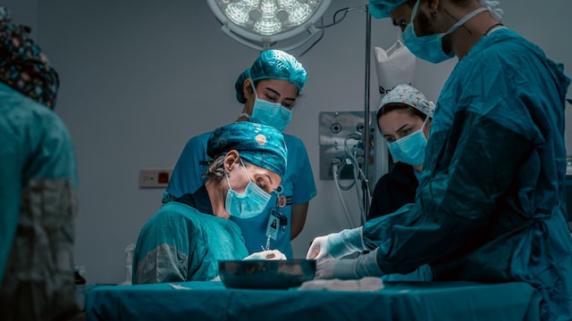 Can pig organs be used for humans successfully?