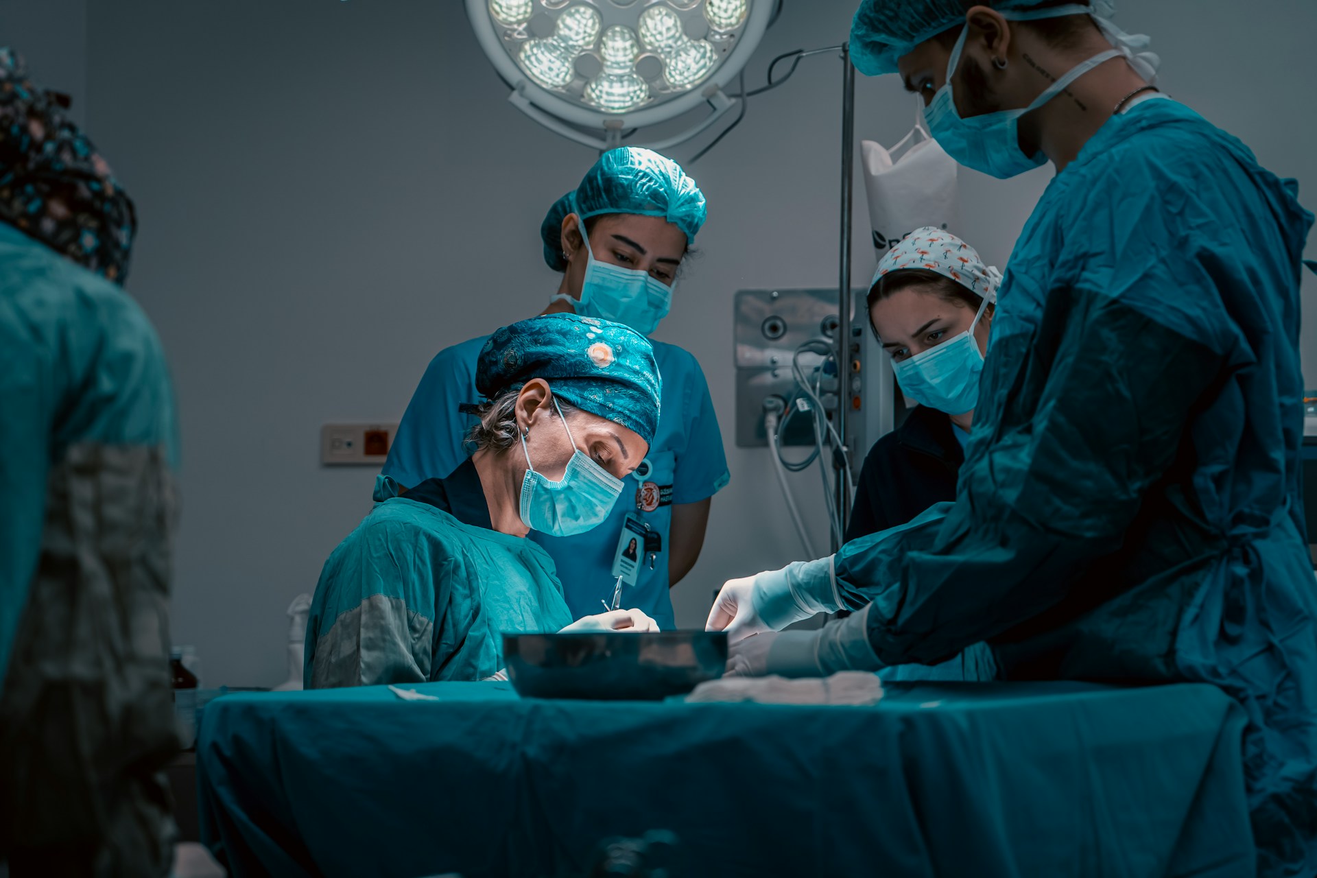 Can pig organs be used for humans successfully?