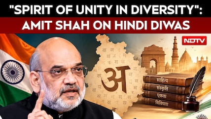 Hindi Diwas | "Spirit Of Unity In Diversity": Home Minister Shah Extends Greetings On Hindi Diwas