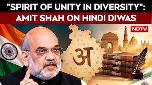 Hindi Diwas | "Spirit Of Unity In Diversity": Home Minister Shah Extends Greetings On Hindi Diwas