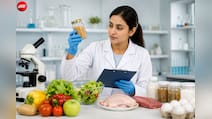 हरियाणा में फूड सेफ्टी ऑफिसर के 45 पदों पर भर्ती, 18 से 42 साल के उम्मीदवार कर सकते हैं अप्लाई