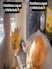 Missing Chole Bhature In Netherlands? Man Finds Desi Jugaad With Tortilla