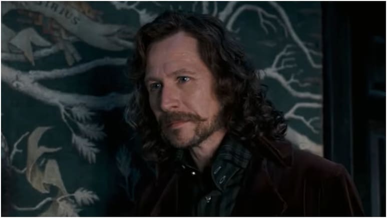 Harry Potter Reboot: Gary Oldman Says HBO Show Could Be More Satisfying Than The Films