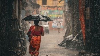 El Nino To Hit Pulses, Sugarcane, Oilseeds; Not A Food Security Risk Yet, Says Expert