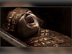 Lee Cronin's The Mummy OTT Release: Plot, Cast, When, Where To Watch Horror Film?