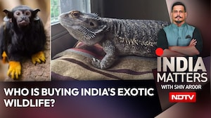 Who Is Buying India's Exotic Wildlife?