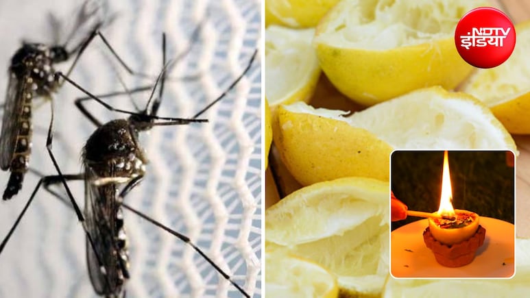 DIY Repellent: घर में बहुत आते हैं मच्छर और कीड़े? मात्र 5 रुपये में बनाएं मच्छरों को भगाने का घरेलू नुस्खा, जानिए तरीका