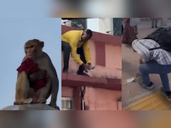 जब रेलवे स्‍टेशन पर बंदर ने हवा में उड़ा द‍िए 40000 रुपये, बीनने में जुट गए पैसेंजर्स और रेलवे कर्मचारी  