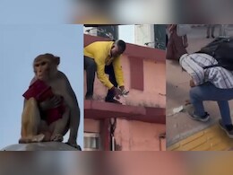 जब रेलवे स्&zwj;टेशन पर बंदर ने हवा में उड़ा द&zwj;िए 40000 रुपये, बीनने में जुट गए पैसेंजर्स और रेलवे कर्मचारी &nbsp;