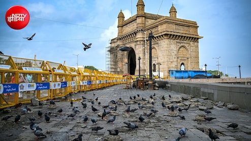 मुंबई में कबूतरखानों को लेकर फिर गरमाया विवाद, जैन मुनि ने दी अनशन की चेतावनी