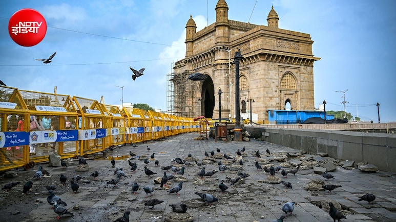 मुंबई में कबूतरखानों को लेकर फिर गरमाया विवाद, जैन मुनि ने दी अनशन की चेतावनी