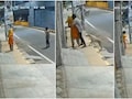 कोयंबटूर में आवारा कुत्ते ने बचाई महिला की इज्जत, शराबी लड़के को सड़कों पर दौड़ाया