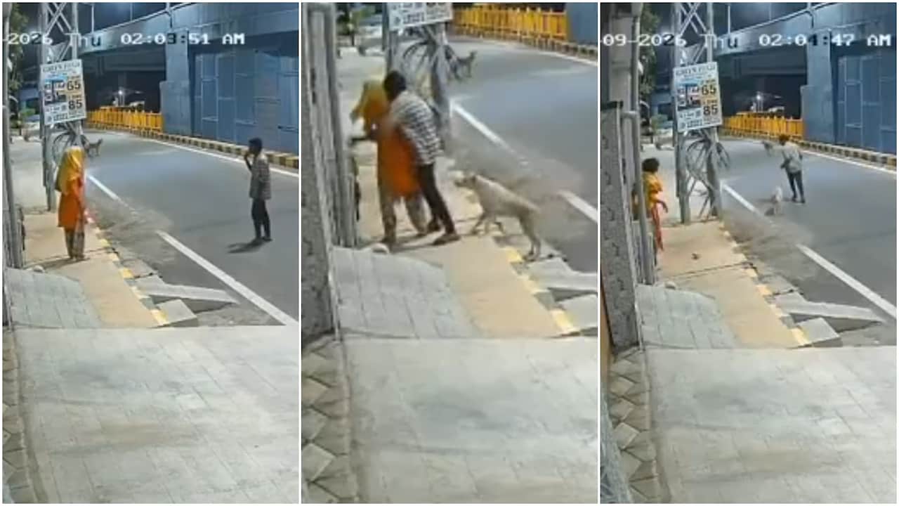 कोयंबटूर में आवारा कुत्ते ने बचाई महिला की इज्जत, शराबी लड़के को सड़कों पर दौड़ाया