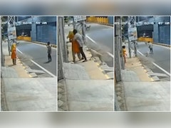 कोयंबटूर में आवारा कुत्ते ने बचाई महिला की इज्जत, शराबी लड़के को सड़कों पर दौड़ाया