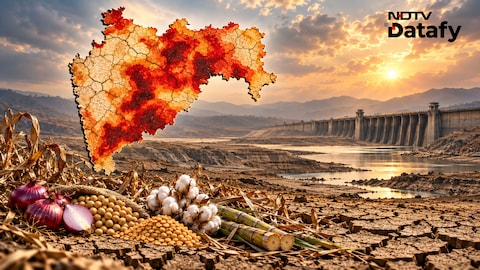 Story image