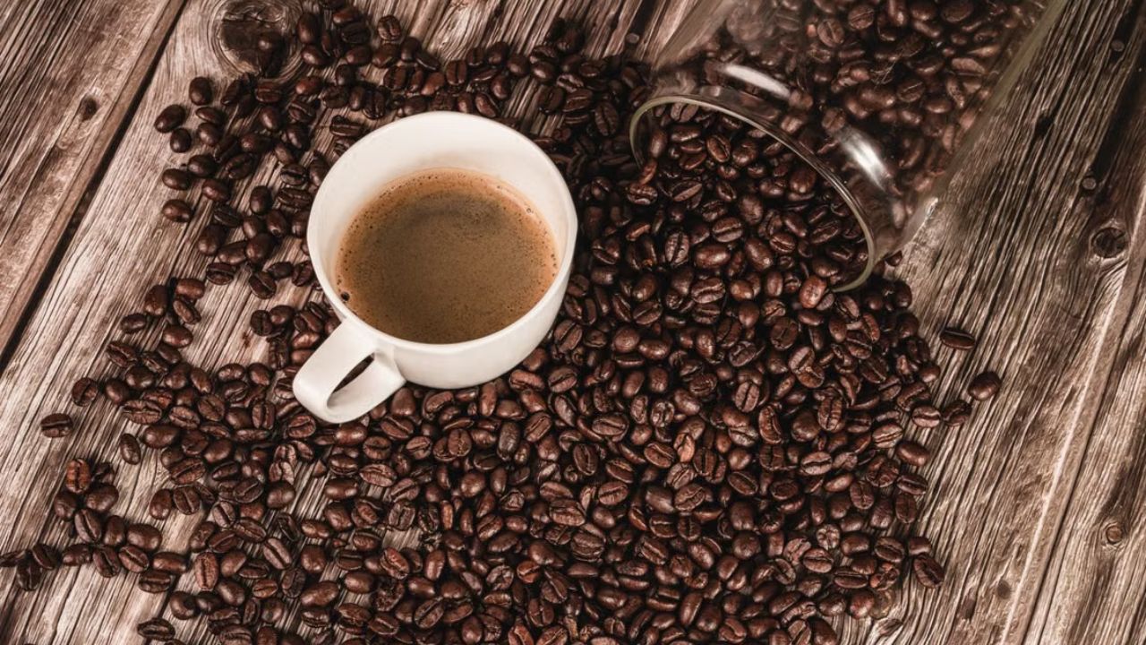 Caffeine acts as a stimulant and activates the body's nervous system