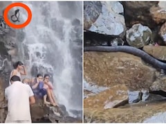 महाराष्ट्र में झरने के पास बच्चे को गोद में लेकर खड़े शख्स पर गिरा बड़ा सांप, टूरिस्ट ने शेयर किया वीडियो