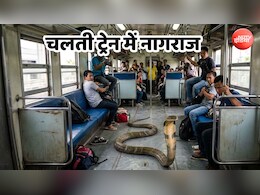 चलती ट्रेन में आ जाए किंग कोबरा, तो कैसे भगाएं; जानिए रेलवे से फौरन मदद लेने का तरीका