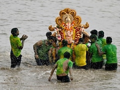 No Yamuna Immersion: Delhi Lists 81 Artificial Ponds For Ganesh Visarjan