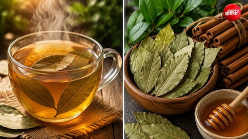 तेज पत्ते की चाय कैसे बनती है? नोट करे रेसिपी