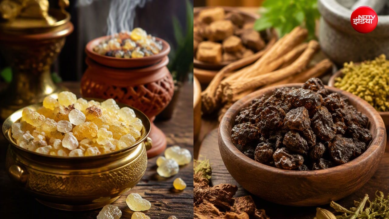 लोबान और गुग्गुल में क्या अंतर है? जानें आयुर्वेद में क्यों हैं ये दोनों जड़ी-बूटियां खास