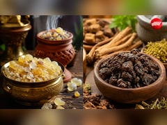 लोबान और गुग्गुल में क्या अंतर है? जानें आयुर्वेद में क्यों हैं ये दोनों जड़ी-बूटियां खास