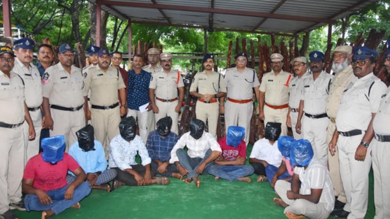 9 Arrested, 87 Logs Seized: Andhra Cops Bust Red Sanders Smuggling Network