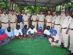 9 Arrested, 87 Logs Seized: Andhra Cops Bust Red Sanders Smuggling Network