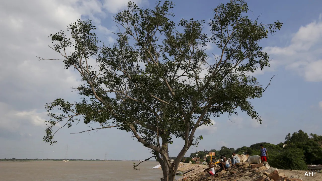 Uttar Pradesh floods