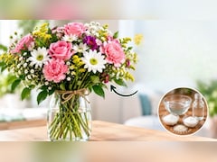 गुलदस्ते के फूलों को ज्यादा दिनों तक फ्रेश कैसे रखें? पानी में मिला दें बस ये 2 चीजें, जल्दी नहीं मुरझाएंगे फूल