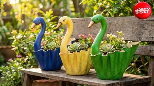 DIY Duck Planter: पुराने कपड़ों से बनाएं खूबसूरत बत्तख वाला गमला, कम खर्च में मिलेगा गार्डन को खूबसूरत और यूनिक लुक