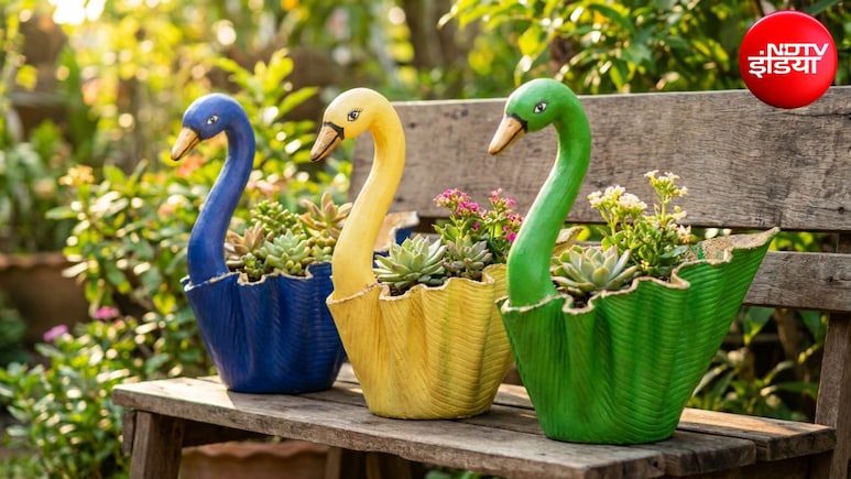 DIY Duck Planter: पुराने कपड़ों से बनाएं खूबसूरत बत्तख वाला गमला, कम खर्च में मिलेगा गार्डन को खूबसूरत और यूनिक लुक