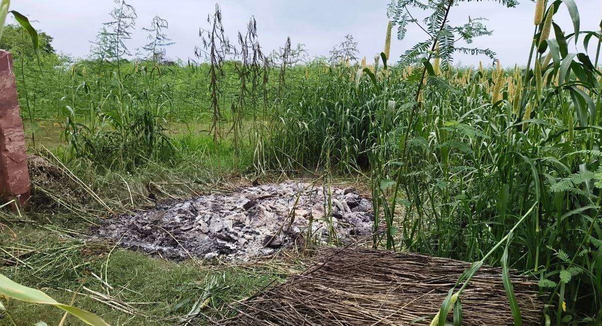 विवाहिता की संदिग्ध परिस्थिति में मौत, ससुराल पक्ष ने गुपचुप तरीके बाजरे के खेत में किया अंतिम संस्कार