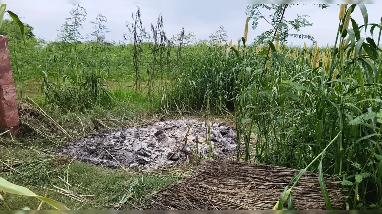 विवाहिता की संदिग्ध परिस्थिति में मौत, ससुराल पक्ष ने गुपचुप तरीके बाजरे के खेत में किया अंतिम संस्कार