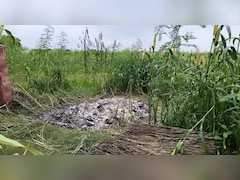 विवाहिता की संदिग्ध परिस्थिति में मौत, ससुराल पक्ष ने गुपचुप तरीके बाजरे के खेत में किया अंतिम संस्कार