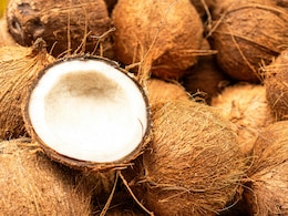 Can You Carry A Coconut On A Train?