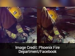 Firefighters Rescue Cat From Burning Arizona Home, Give Oxygen Using Special Mask