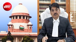 BCI चेयरमैन का विरोध कर रहे वकीलों की पिटाई के मामले में CBI जांच नहीं, सुप्रीम कोर्ट ने हाईकोर्ट जाने को कहा