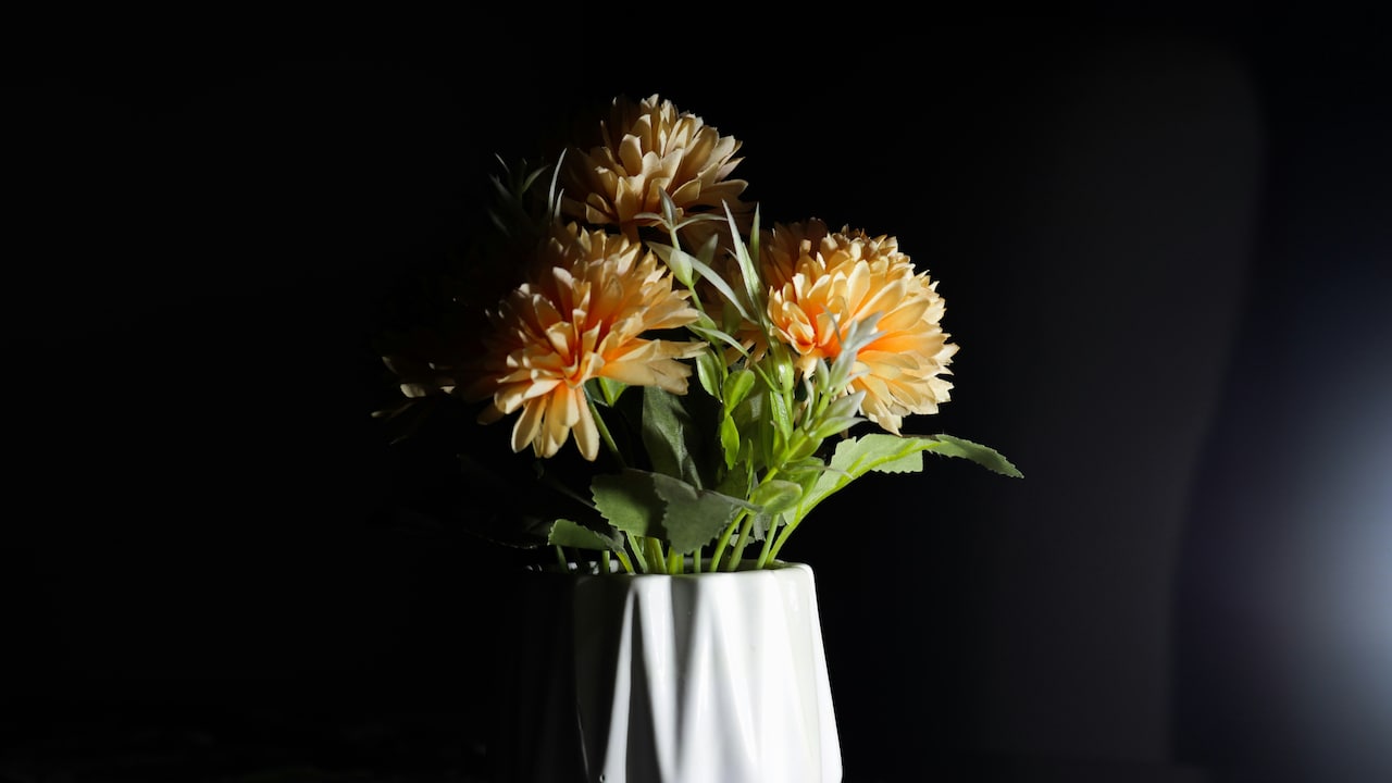 Do Artificial Flowers Fade Over Time? 10 Home-Decor Myths Explained Do Artificial Flowers Fade Over Time? 10 Home-Decor Myths Explained