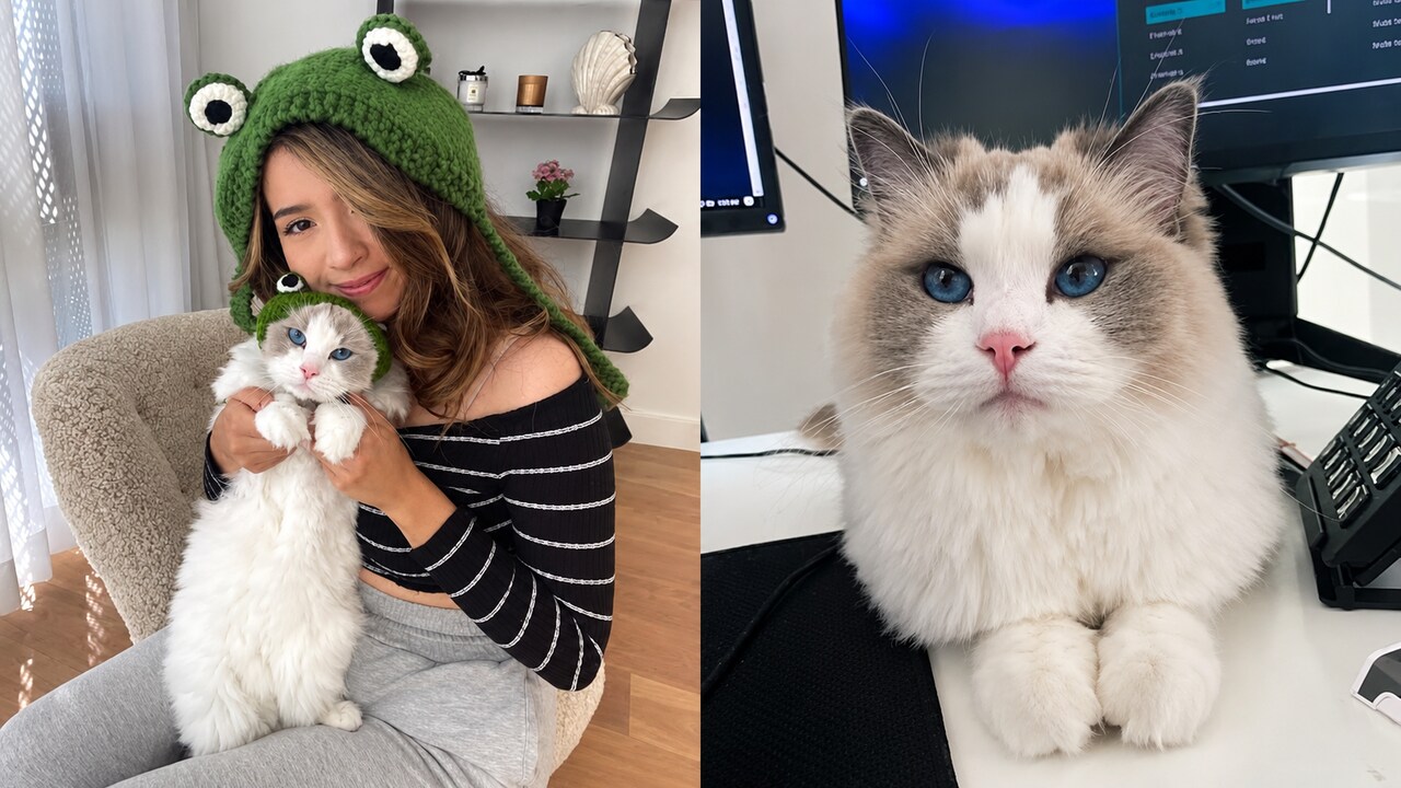 "Cleaners Opened The Door": Pokimane Gives New Details On Cat Mimi’s Death After Tragic Accident