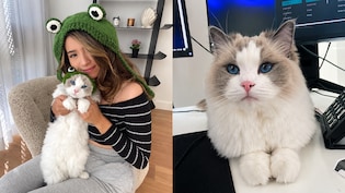 "Cleaners Opened The Door": Pokimane Gives New Details On Cat Mimi&rsquo;s Death After Tragic Accident