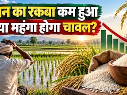 धान का रकबा घटा, 16 लाख हेक्&zwj;टेयर कम हुई खेती, क्&zwj;या मार्केट में कम आएगा चावल और हो जाएगा महंगा?