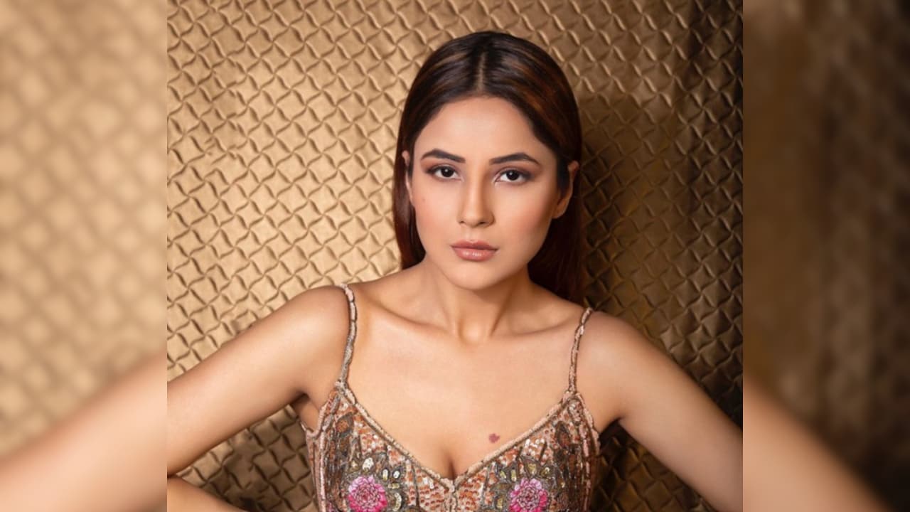 बिग बॉस 20 के बीच शहनाज गिल ने बिग बॉस 13 को किया याद, कहा- मुझे अनपढ़ गवार कहा जाता था